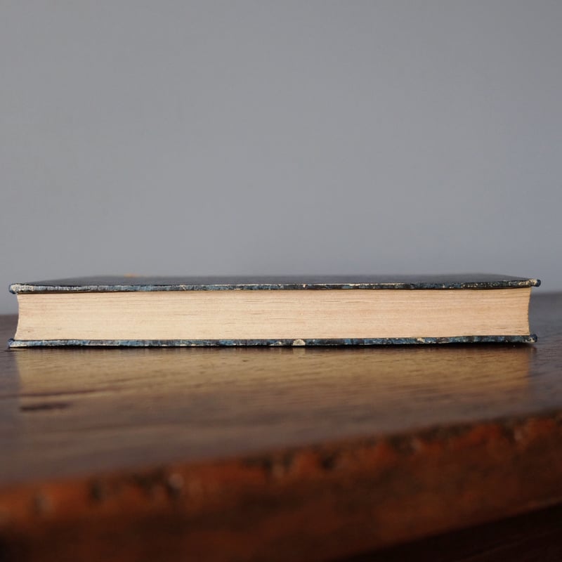 古書 彩色モード版画付 本 Magasin des Demoiselles 1848-49年