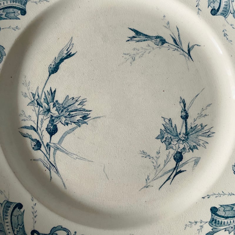 Creil montereau 矢車菊　手描き　フランス　アンティーク Creil montereau 矢車菊 手描き フランス アンティーク - メルカリ