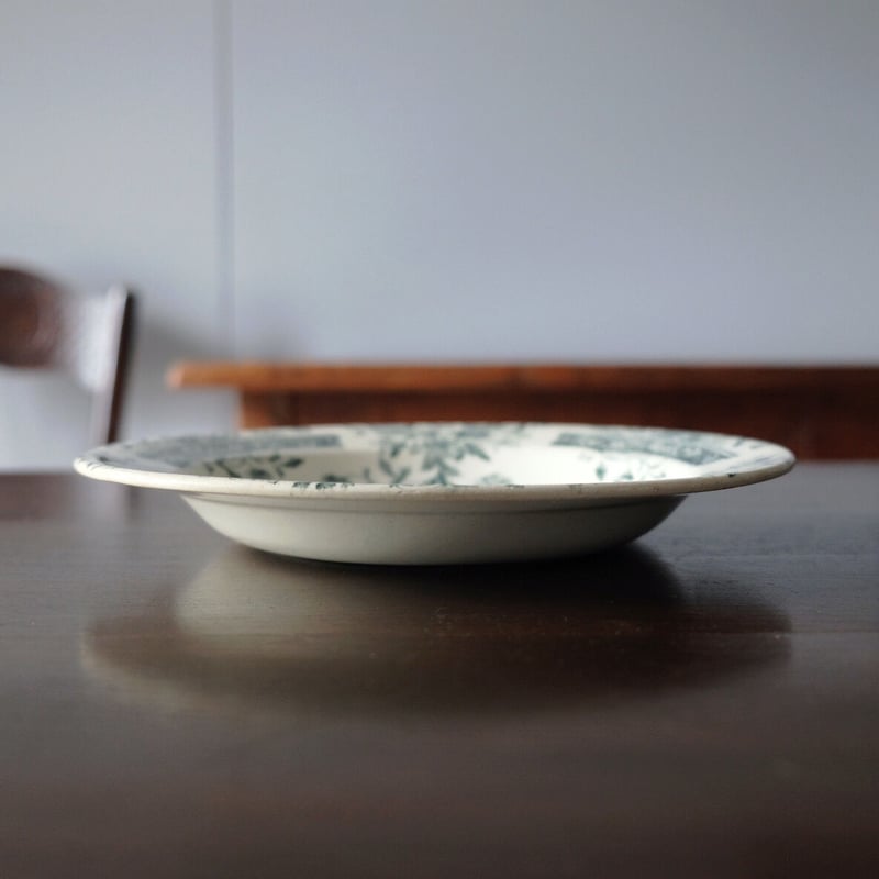サラン SALINS 深皿 リム皿 φ24.2cm フランス アンティーク a