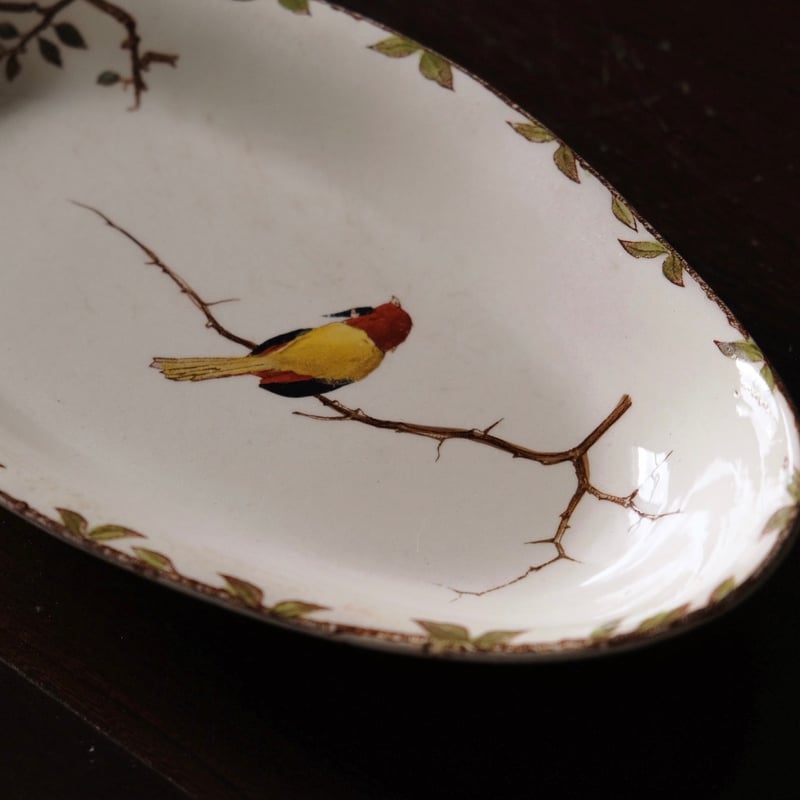 HB&Cie ショワジールロワ ラヴィエ 手彩色 鳥 Oxford フランス