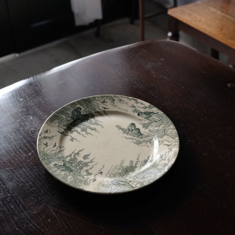 サルグミンヌ ネージュ SARREGUEMINES NEIGE 平皿 リム皿 φ23.5cm