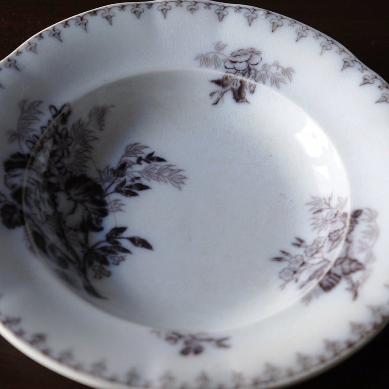 サルグミンヌ フローラ 深皿 リム皿 φ22cm フランス アンティーク