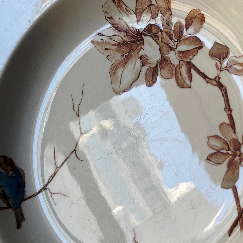 HB&Cie ショワジールロワ Oxford オックスフォード 深皿 リム皿 手彩色