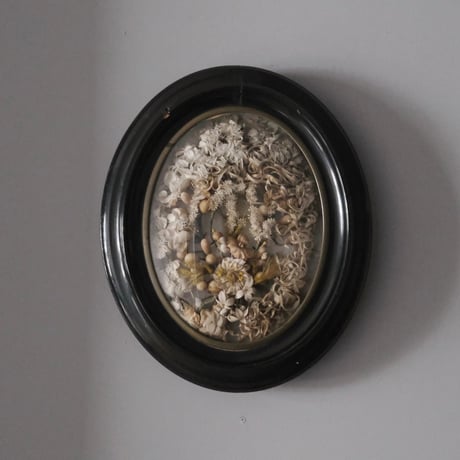 ワックスフラワー | STORES