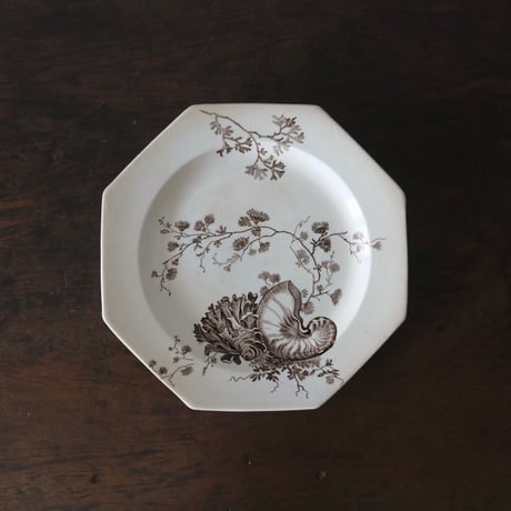 CATEGORY オクトゴナル | jinen_antique