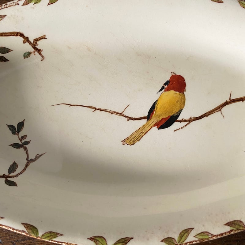 希少　美品　ジョワジールロワ　多彩色　レリーフ　フランスアンティーク アンティーク ショワジールロワChoisy le Roi Takouの小鳥の深皿