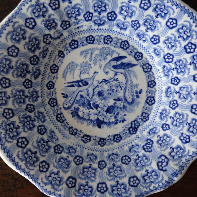 D.ジョンストンボルドー D.Johnston&Cie Bordeaux 平皿 リム皿