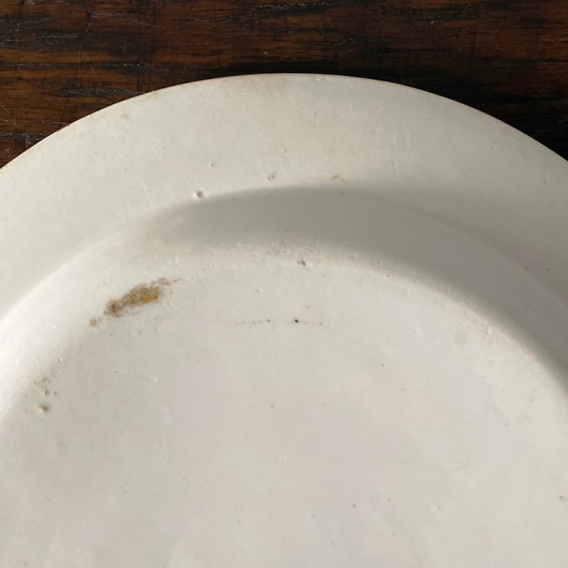 Choisy le Roi ショワジールロワ 肖像 グリザイユ皿 フランス王族 φ21