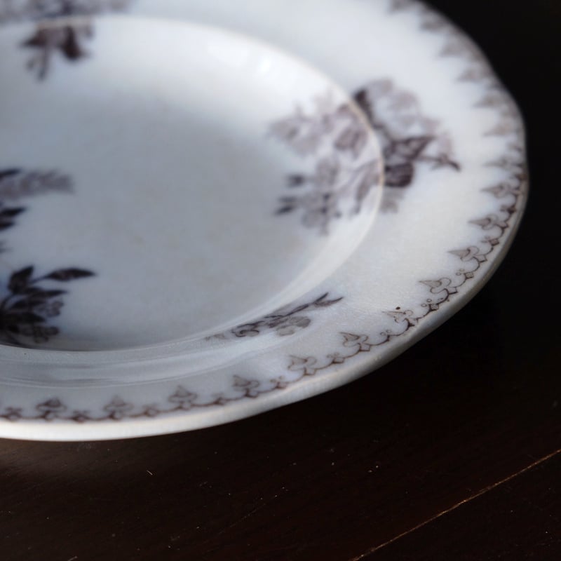サルグミンヌ フローラ 深皿 リム皿 φ22cm フランス アンティーク