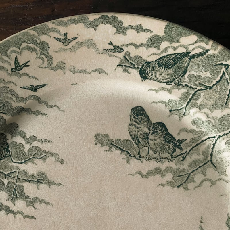 サルグミンヌ ネージュ SARREGUEMINES NEIGE 平皿 リム皿 φ23
