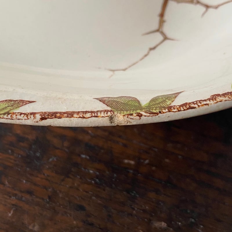 HB&Cie ショワジールロワ ラヴィエ 手彩色 鳥 Oxford フランス