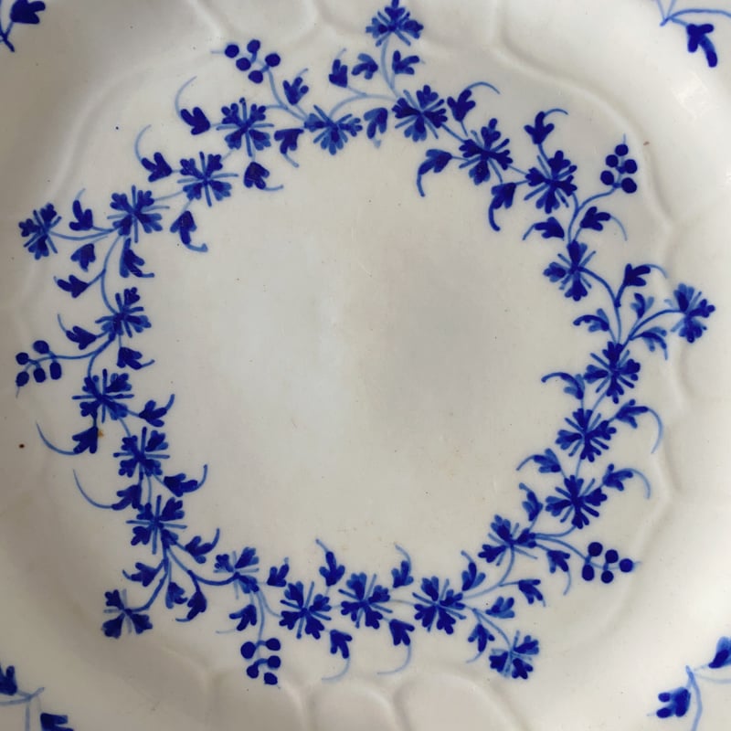 tournai トゥルネー （トルネイ）軟質磁器 花リム レリーフ 皿