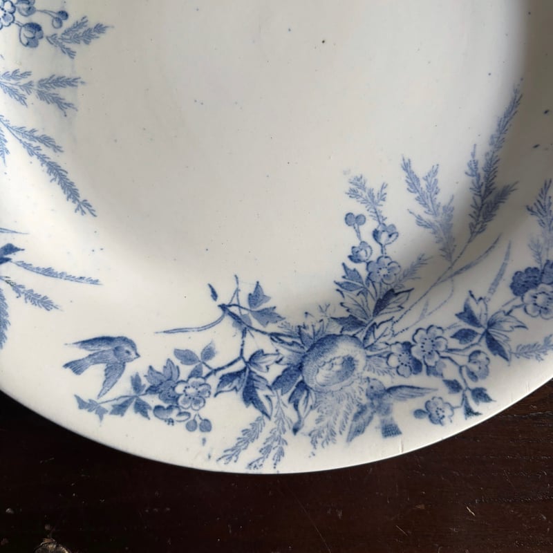 Creil & Montereau Linotte リノット 平皿 23cm クレイユモントロ