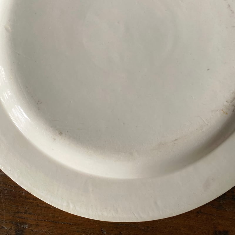 Choisy le Roi ショワジールロワ 肖像 グリザイユ皿 フランス王族 φ21