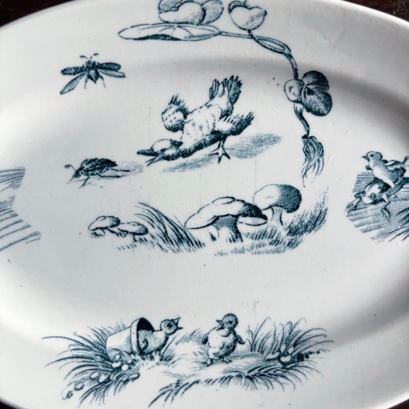 ディネット オーバル皿 楕円皿 おそらく リュネビルフランス