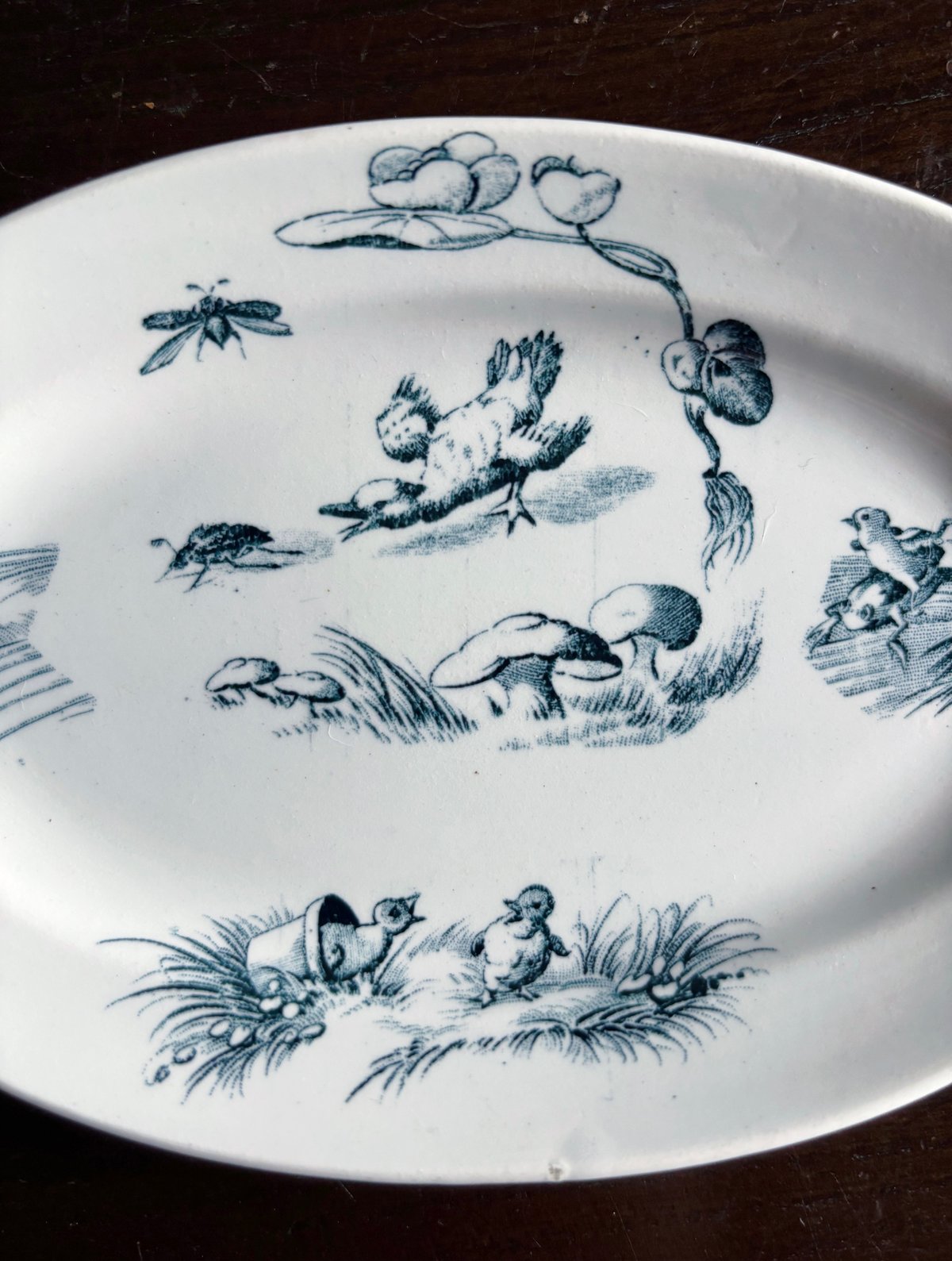 ディネット オーバル皿 楕円皿 おそらく リュネビルフランス