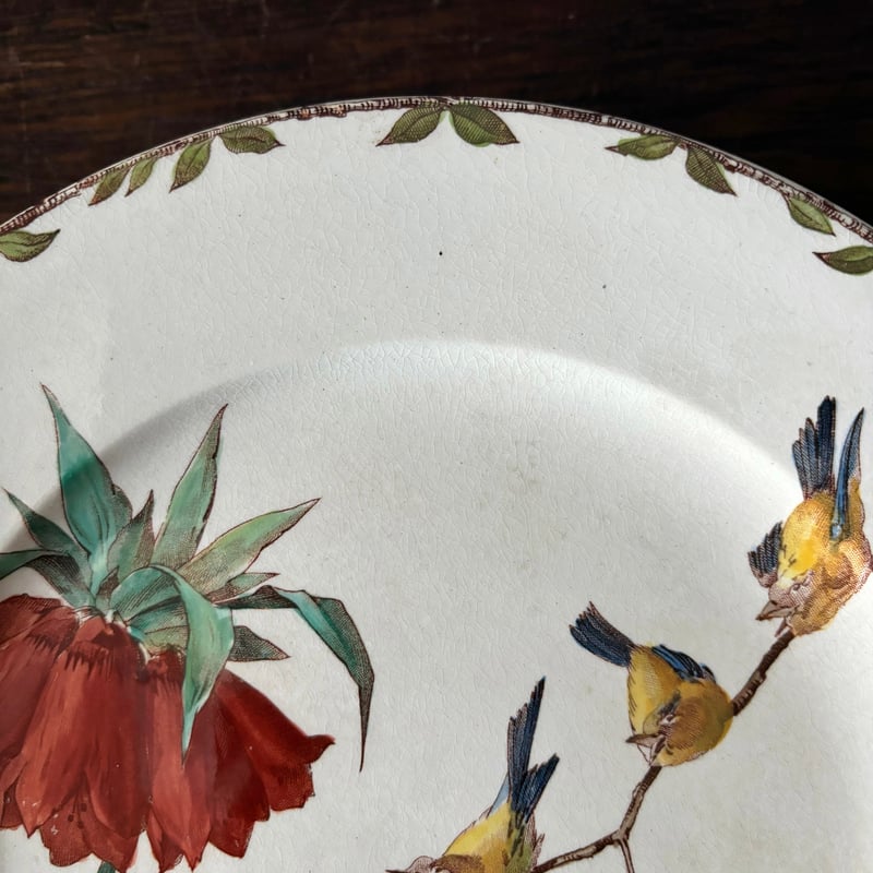 HB&Cie ショワジールロワ Oxford オックスフォード コンポティエ