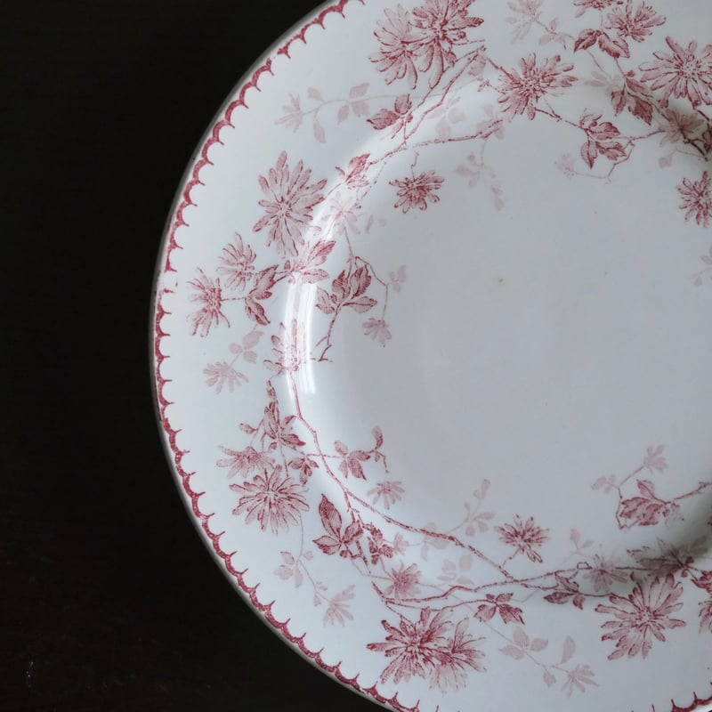 Creil & Montereau ミニャルディーズ 平皿 デザート皿 φ20.5cm クレイ