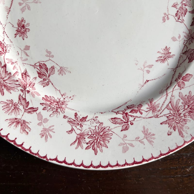 Creil & Montereau ミニャルディーズ 平皿 デザート皿 φ20.8cm クレイ