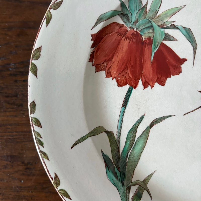 HB&Cie ショワジールロワ Oxford オックスフォード コンポティエ