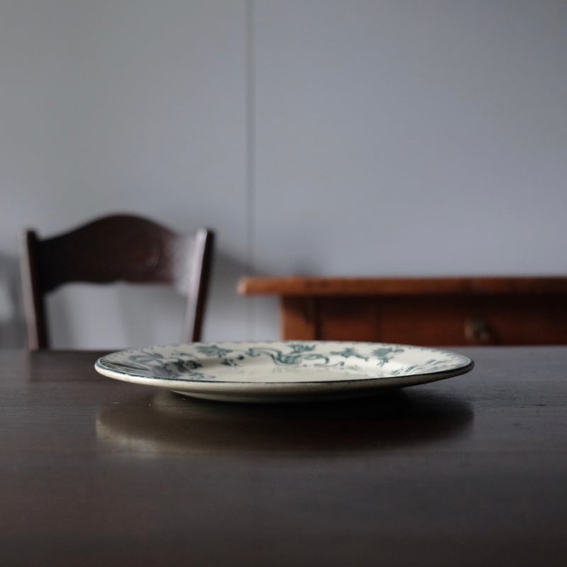 サラン Salins Herbier エルビエ 押し花柄 デザート 皿 φ21.5cm フラン