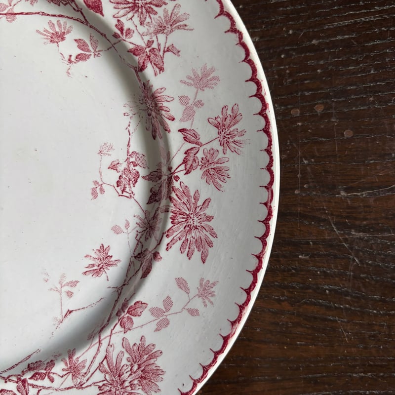 Creil & Montereau ミニャルディーズ 平皿 デザート皿 φ20.8cm クレイ