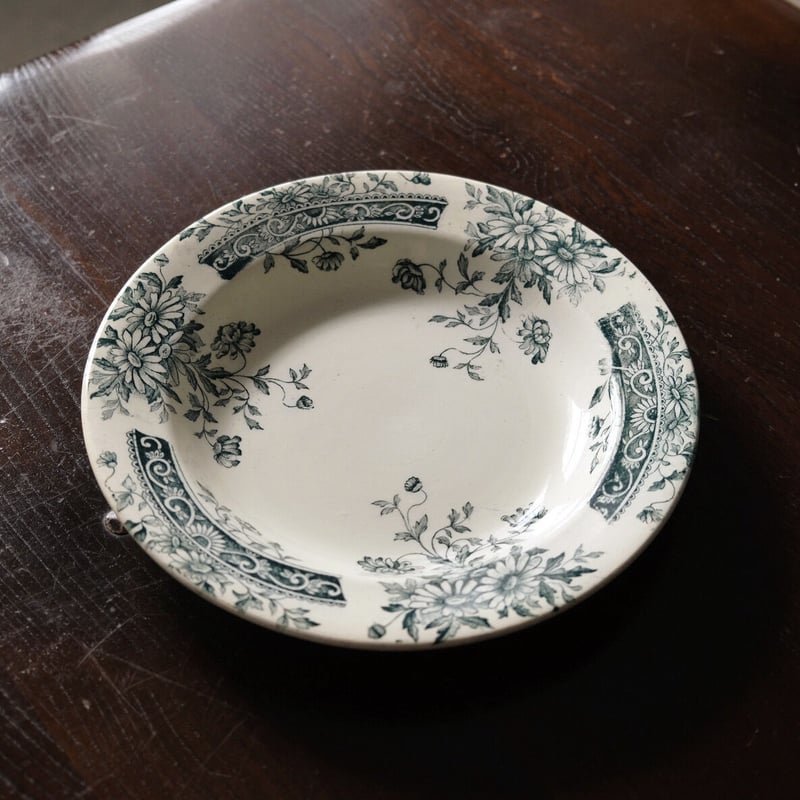 サラン SALINS 深皿 リム皿 φ24.2cm フランス アンティーク a