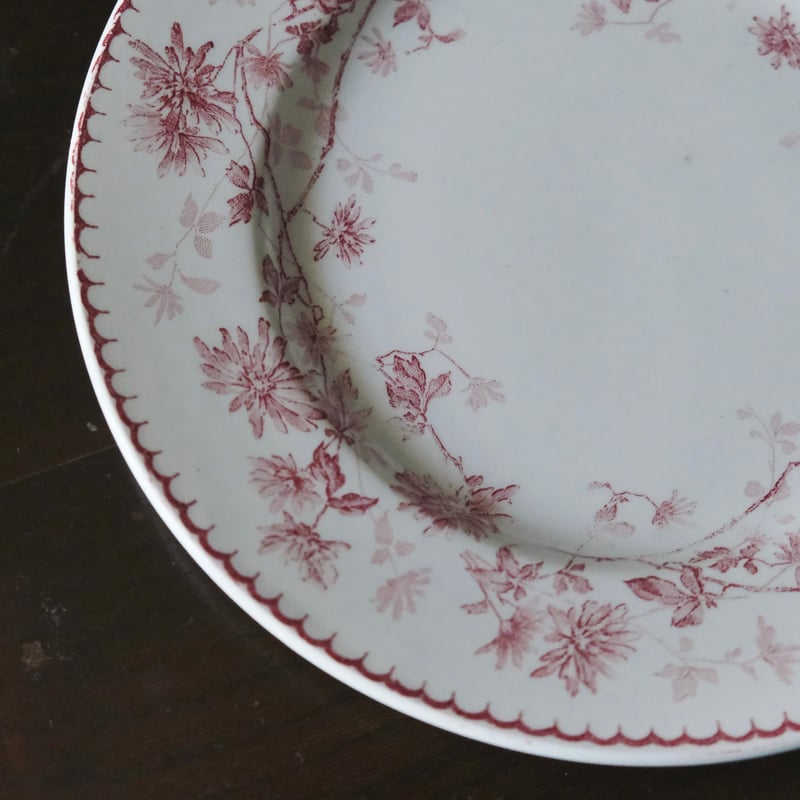 Creil & Montereau ミニャルディーズ 平皿 デザート皿 φ20.5cm クレイ