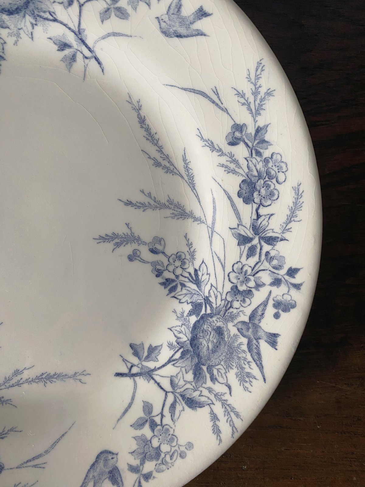 希少稀な リノット クレイユモントロー Creil&Montereau デザート Linotte 食器