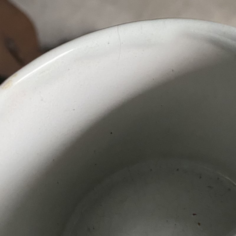 ヌヴェール Nevers 白釉陶器 オイル&ビネガー用 ホルダー 勿忘草