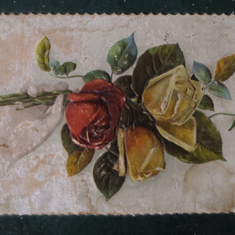 アンティーク フランス 立体的な色糸バリオン薔薇刺繍 ランジェリーリネンケース 000000013276_97ja5zs.jpg