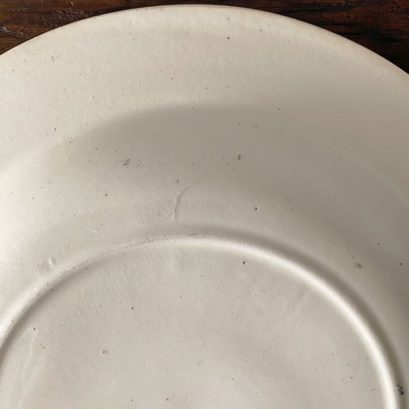 サラン SALINS 深皿 リム皿 φ24.2cm フランス アンティーク a サラン SALINS 深皿 リム皿 φ24.2cm フランス アンティーク a