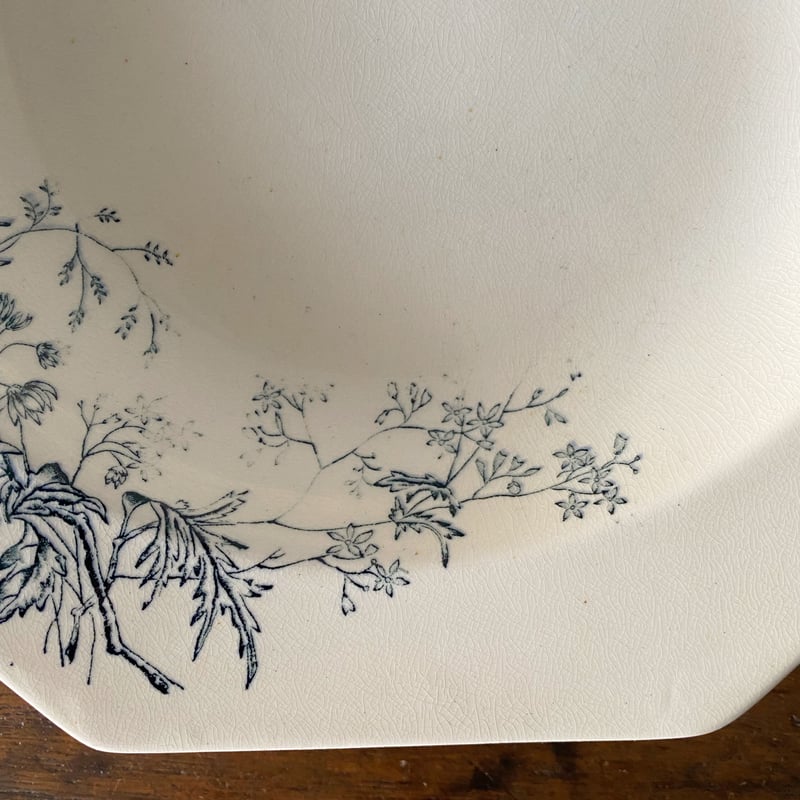 1800年代後期 イギリス M&C ボタニカル柄 オクトゴナル深皿