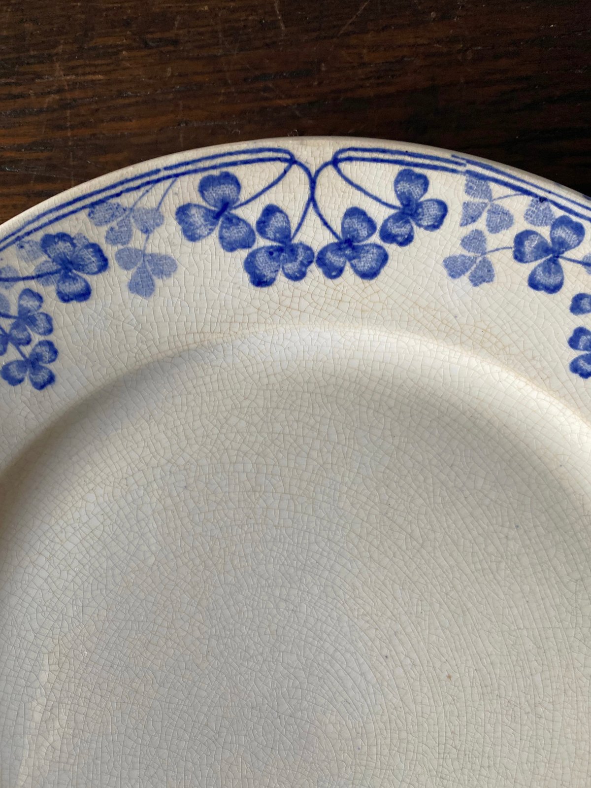 U&C SARREGUEMINES サルグミンヌ VICHY 平皿 リム皿 ディナー皿 φ23