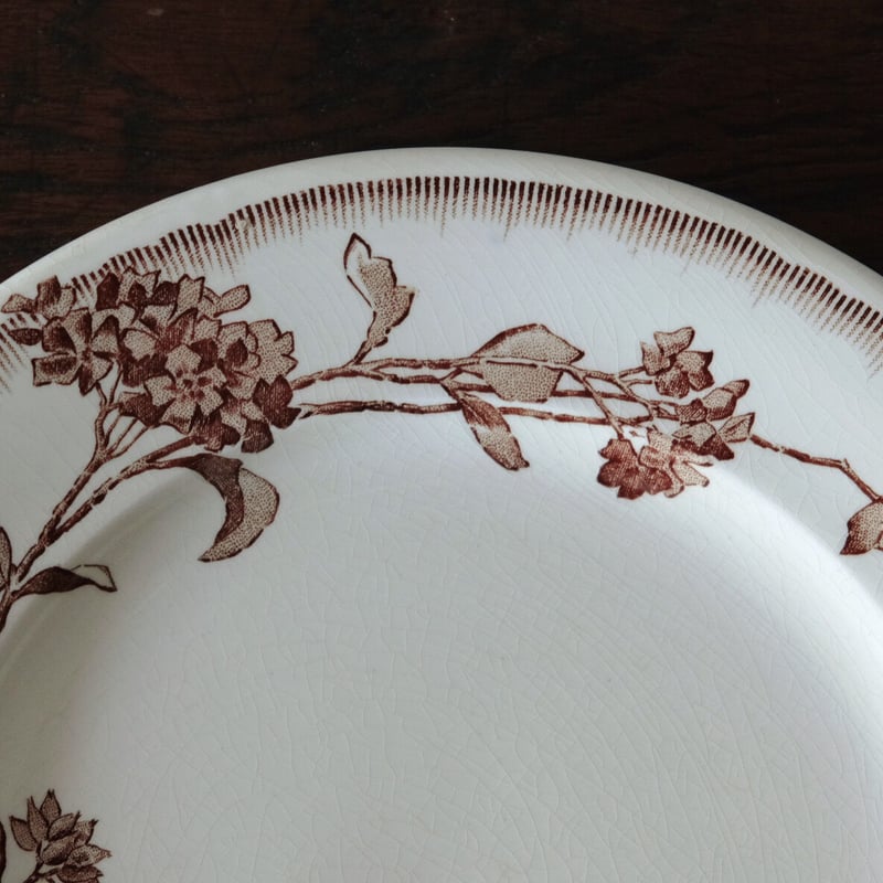 ボルドー窯のレリーフ皿 Jules Vieillard & Cie Bordeaux JVボルドー 平皿 22.6cm