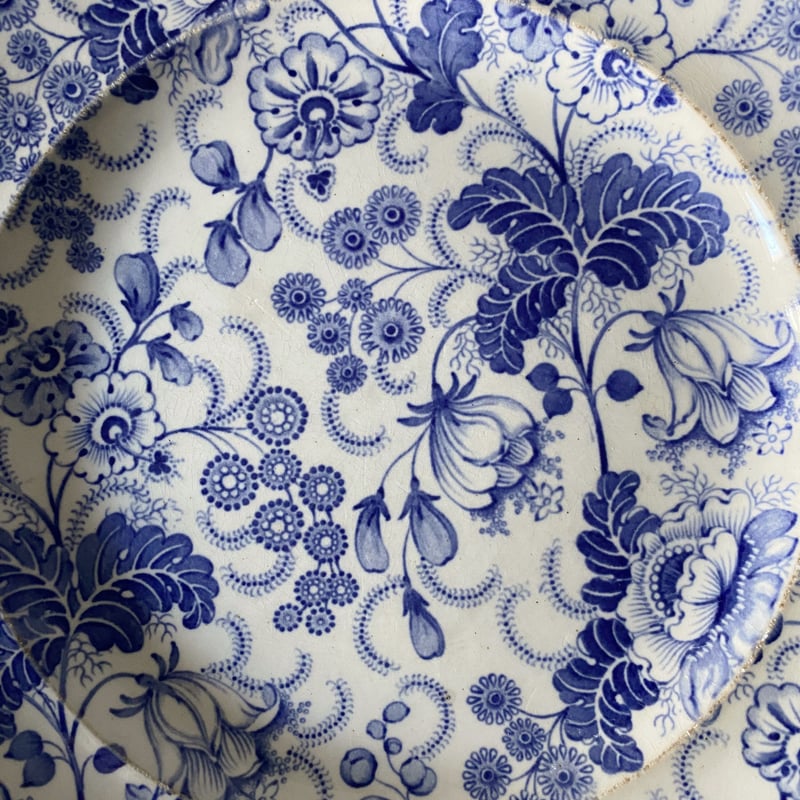 David Johnston Bordeaux ボルドー タピスリー 平皿 φ22.8cm フ