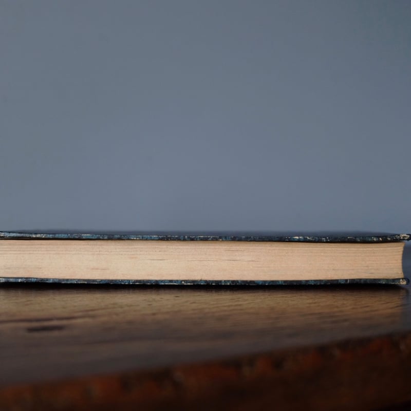 古書 彩色モード版画付 本 Magasin des Demoiselles 1849-50年