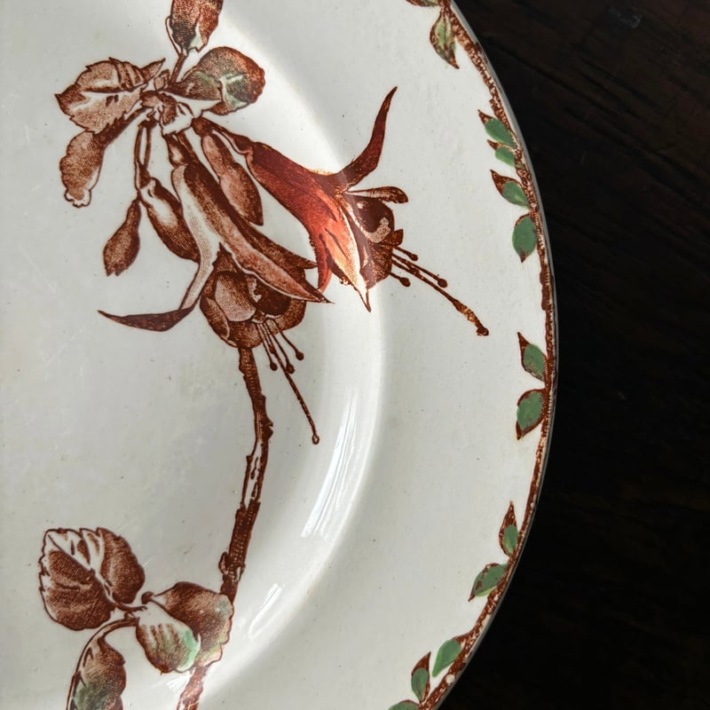 フランスアンティーク HB&Cie ショワジールロワ OXFORD プレート HB&Cie ショワジールロワ Oxford オックスフォード 平皿 ディナー