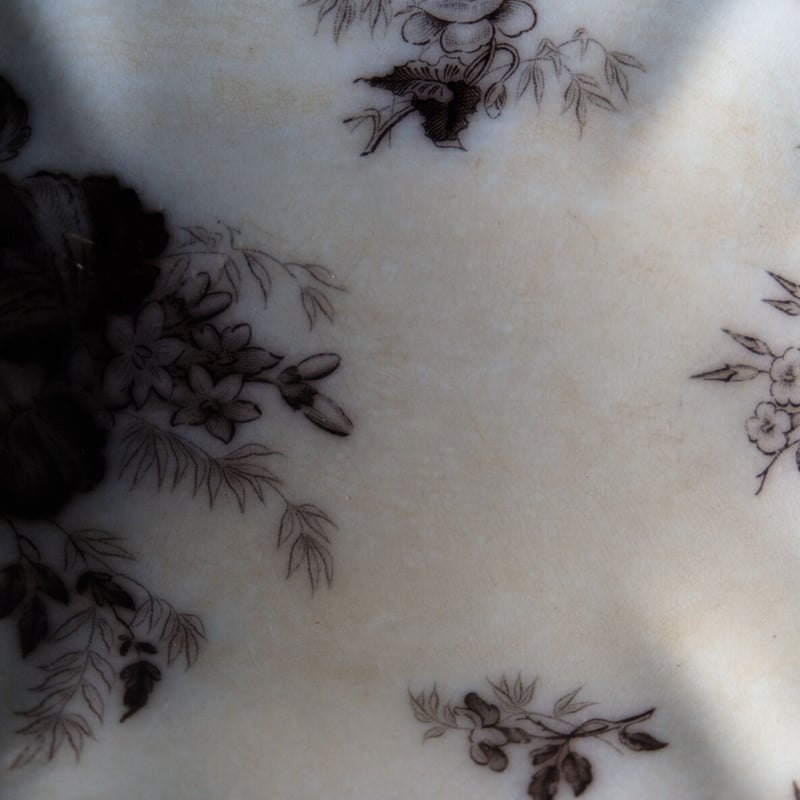 サルグミンヌ　ラヴィエ　フランスアンティーク FLORE フロール サルグミンヌ製「FLORE」シリーズのアンティークラヴィエ(前菜皿)です。