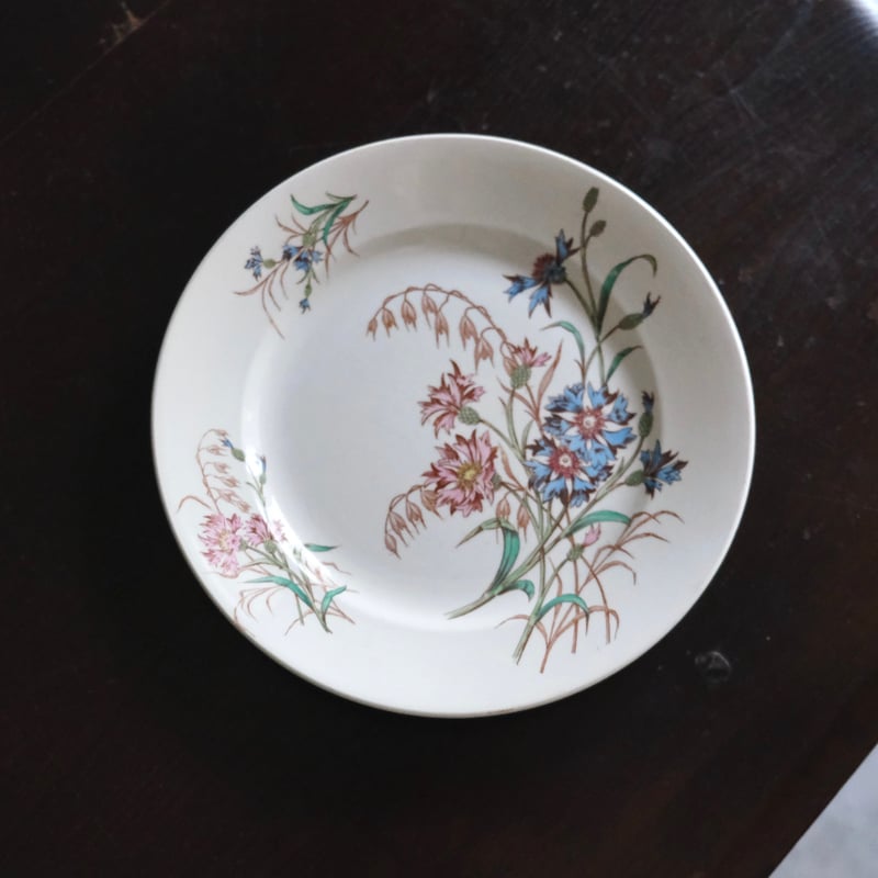 美品フランスアンティーク　リュネビル窯　Lunéville 四十雀の絵皿 美品フランスアンティーク リュネビル窯 Lunéville 四十雀の絵皿