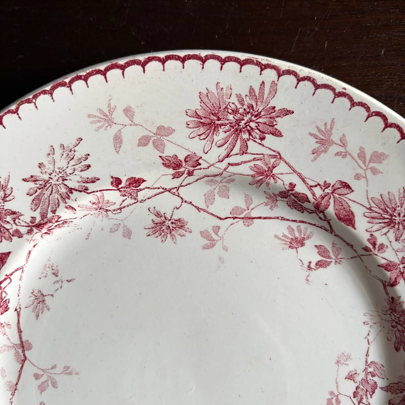 Creil & Montereau ミニャルディーズ 平皿 デザート皿 φ20.8cm クレイ