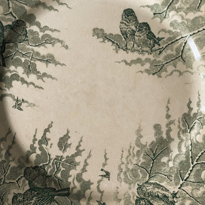 サルグミンヌ ネージュ SARREGUEMINES NEIGE 平皿 リム皿 φ23.5cm
