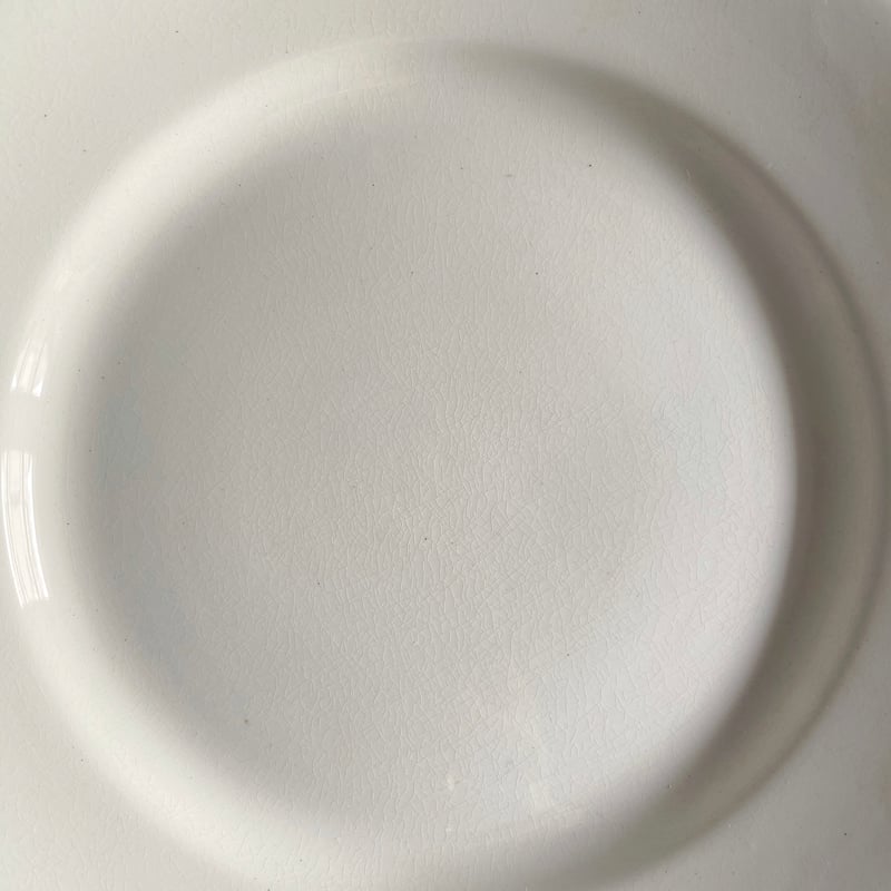 Luneville リュネヴィル 平皿 白皿 リム皿 φ21.5cm フランス