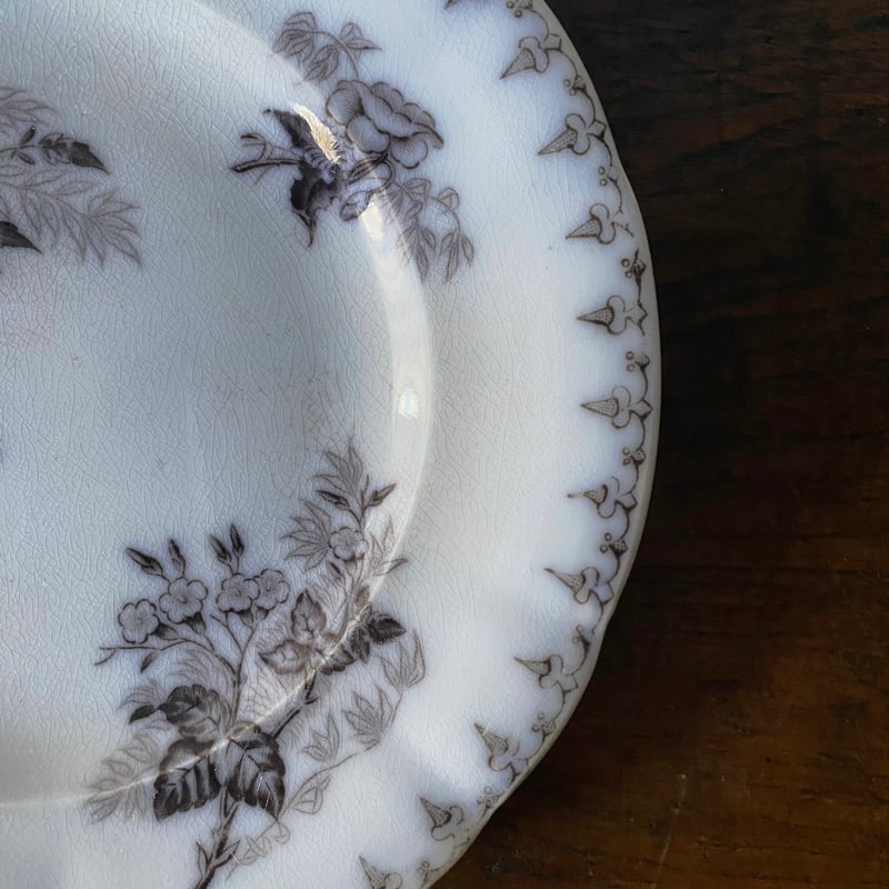 短期出品 サルグミンヌ FLORE 平皿 2枚セット 2枚セット 短期出品 サルグミンヌ FLORE 平皿 2枚セット 2枚セット 短期