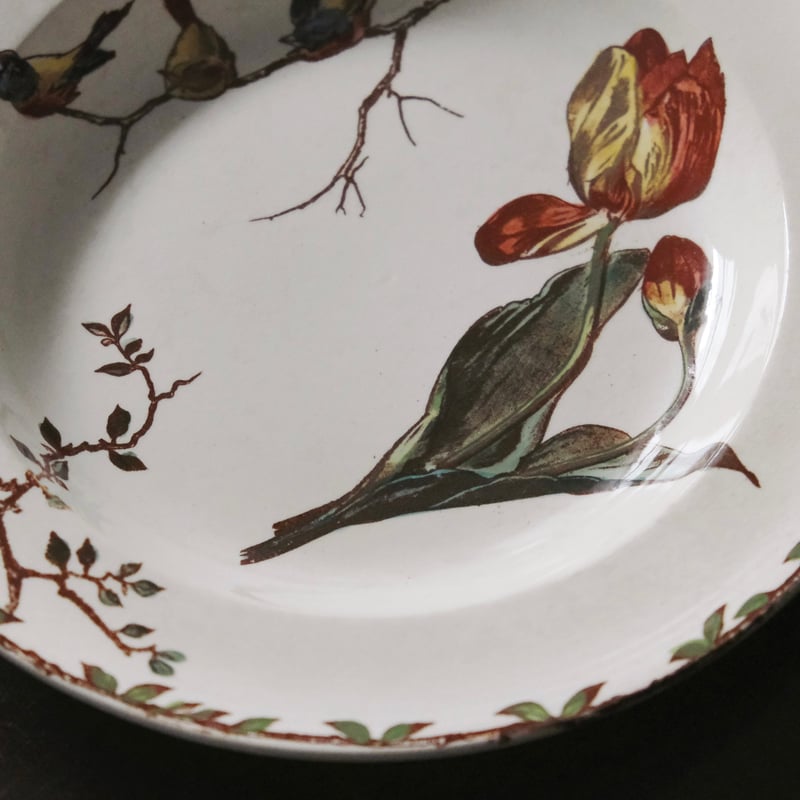 HB&Cie ショワジールロワ Oxford オックスフォード 深皿 手彩色 φ24