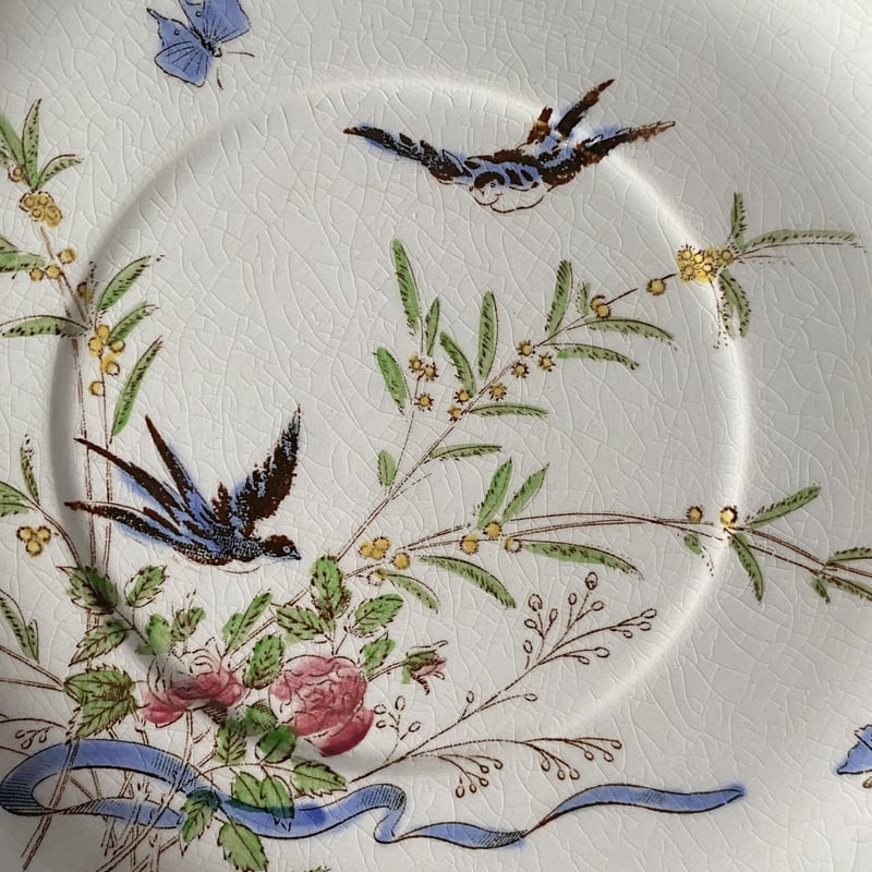 ア*ラ様 ラヴィエ　サルグミンヌ　sarreguemines チューリップ　多色 ア*ラ様 ラヴィエ サルグミンヌ sarreguemines チューリップ 多色