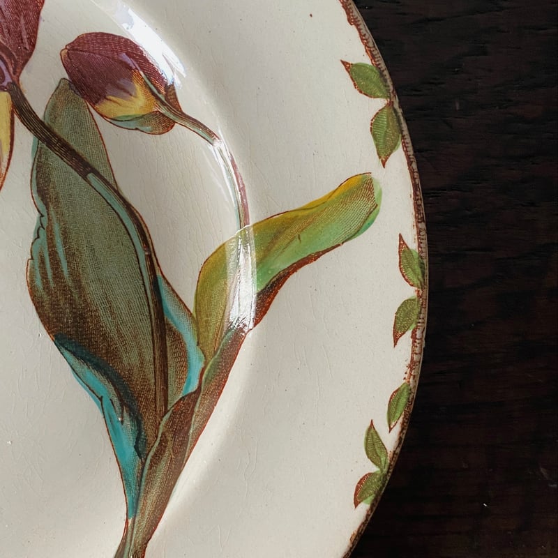 HB&Cie ショワジールロワ Oxford オックスフォード 平皿 手彩色 φ20