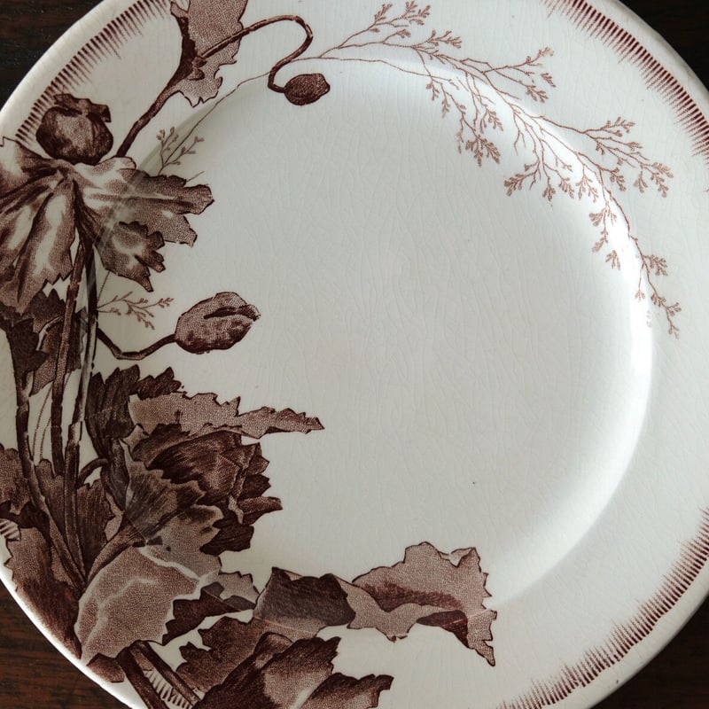 ヴィエイヤールボルドー　カマイユ ディナープレート　F フランスアンティーク食器 ヴィエイヤールボルドー カマイユ ディナープレート F フランス