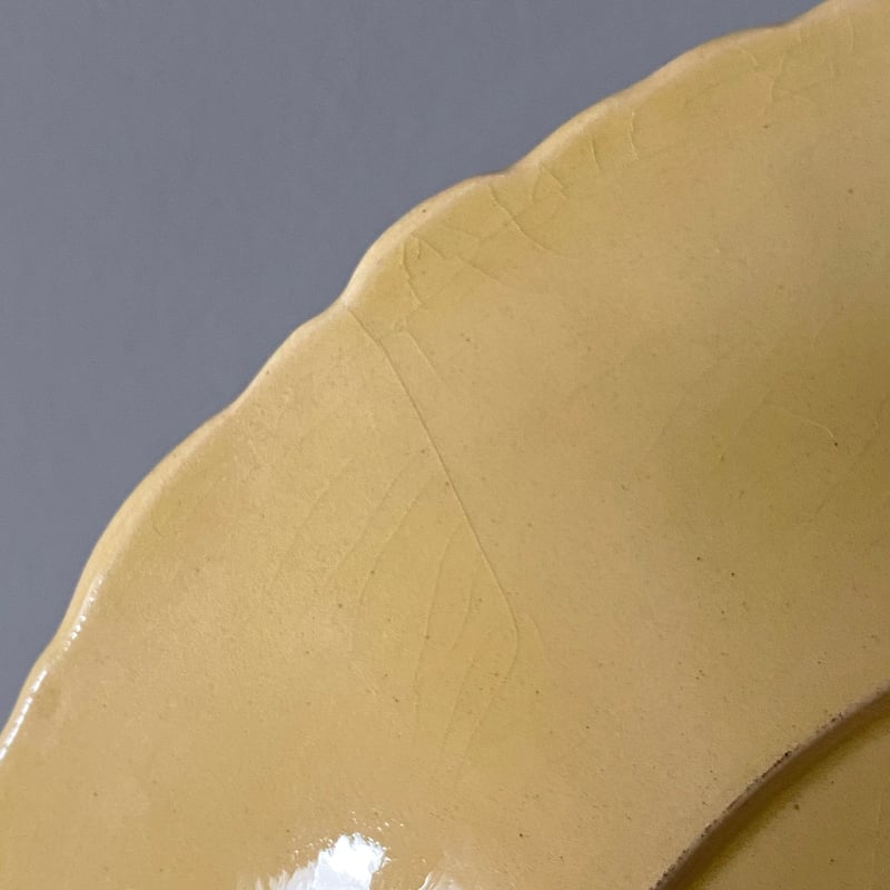 アプト Apt 南仏陶器 レリーフ 平皿 リム皿 φ21.5cm フランス