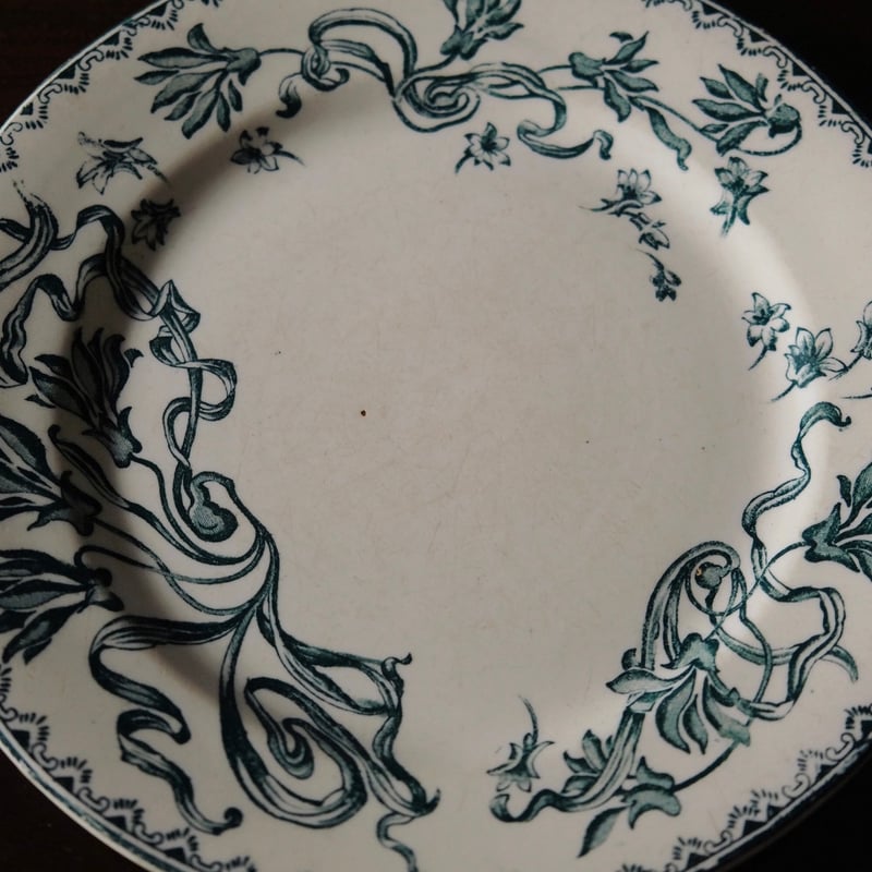 サラン Salins Herbier エルビエ 押し花柄 デザート 皿 φ21.5cm フラン